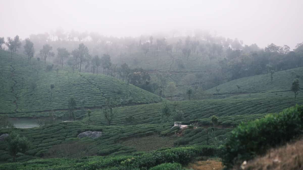 Coorg, India