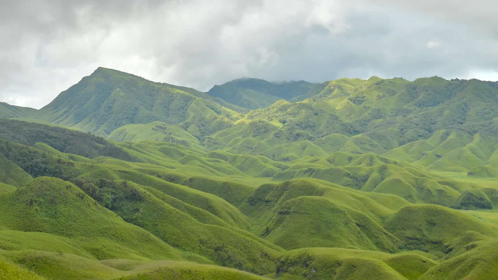Dzukou Valley, India