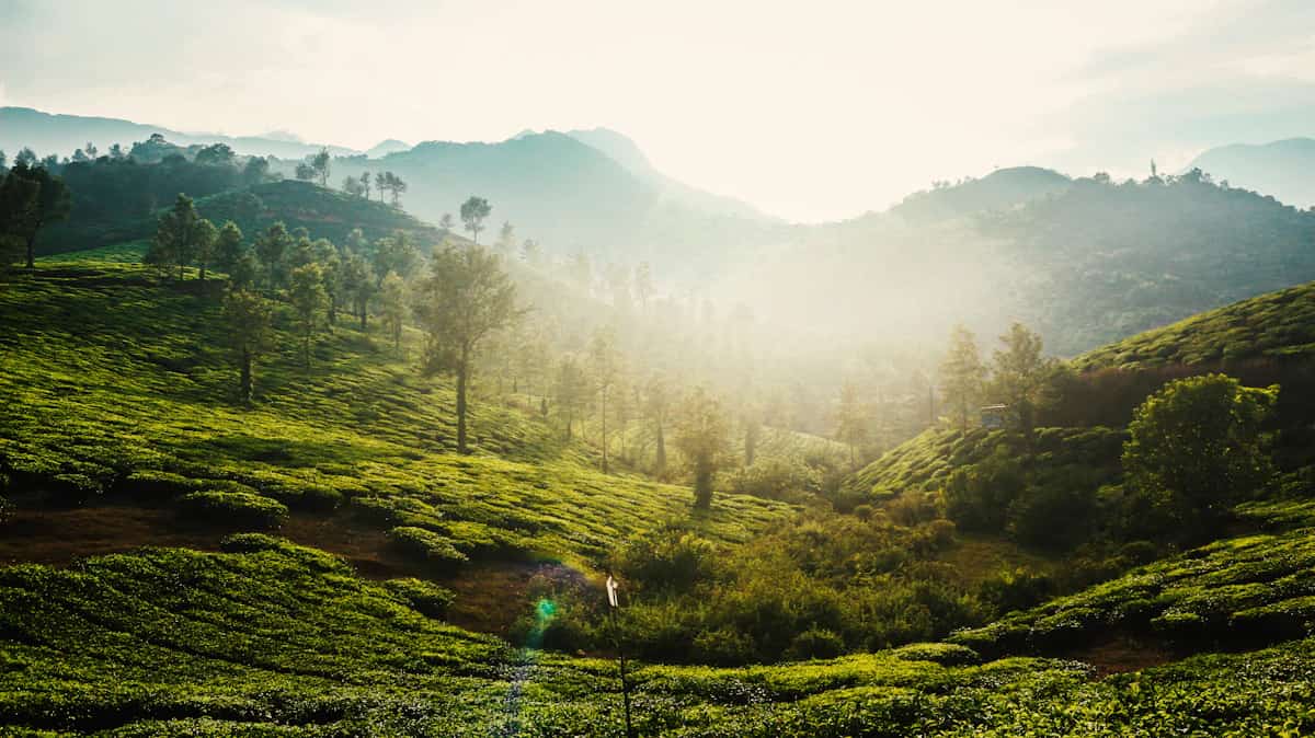 Wayanad, India