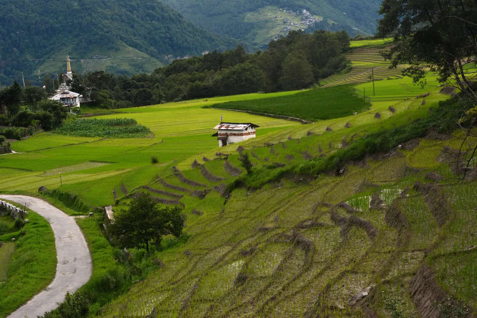 Ziro, India
